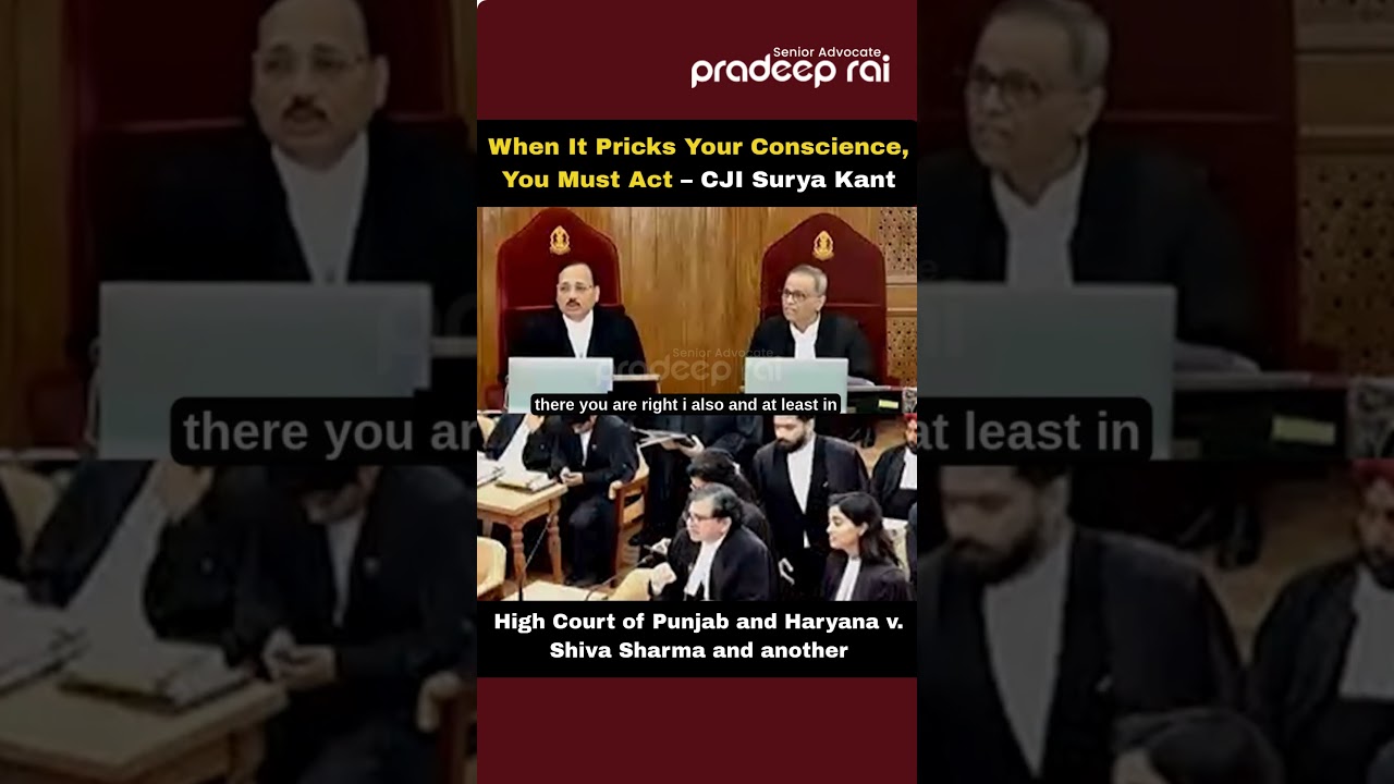 Когда это задевает вашу совесть, вы должны действовать – главный судья Верховного суда Индии Сурь...