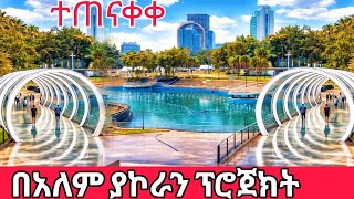 Rain-Washed Addis Ababa 🌧️🇪🇹 | Fresh City Walk After Rain screenshot 4