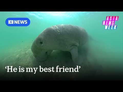 Meet the man fighting to Save Thailand's dying dugongs | <strong>Asia</strong> News Week | ABC NEWS