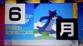 Cartoon Network Japanese - June 6 2018 Highlights