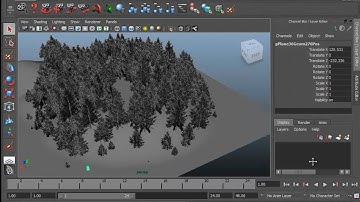 HSOM Lecture #06 Environment Finish WI13