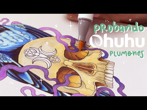 OHUHU ✧.﹡ Probando plumones Ohuhu (216pz)