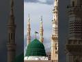 Mohammed bin ki 🤲shikayat💚 karenge Jo Roja🕋 rakhenge#beautiful #duet #saifi #imamqasim #saimir🕋🕋🕋🕋🕋🕋