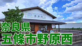 Wakayama to Nara Touring After eating tonkatsu, I came across the