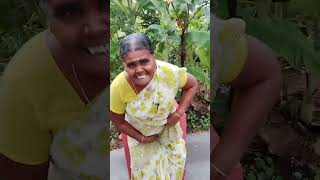 சிரித்து மகிழ SHORTS COLLECTION PART 5 #comedy #indiakutty