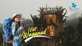 Visit Wayanad Or Truly Feel It Bluebell Resort, Wayanad