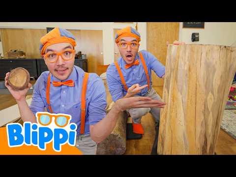 Coule ou Flotte au Musée ! | Blippi en français | Vidéos éducatives pour enfants