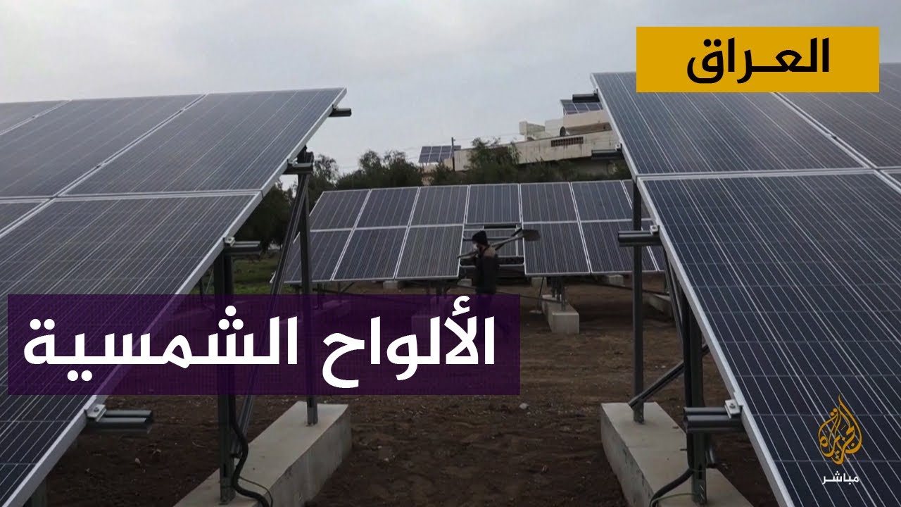مزارعون عراقيون يستخدمون الألواح الشمسية لزيادة إنتاج الزيتون.. كيف؟