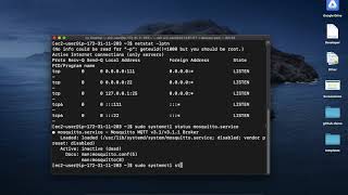 Setting up MQTT Broker