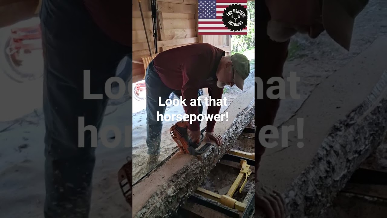 Spunky small chainsaw! #adirondacks #chainsaw