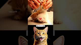 A kitten has hatched from an egg 😺 #funny #cat #trending #shorts
