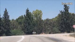 נסיעה קצרה בפארק דליה שנמצא ליד מושב גפן (25.8.2022)