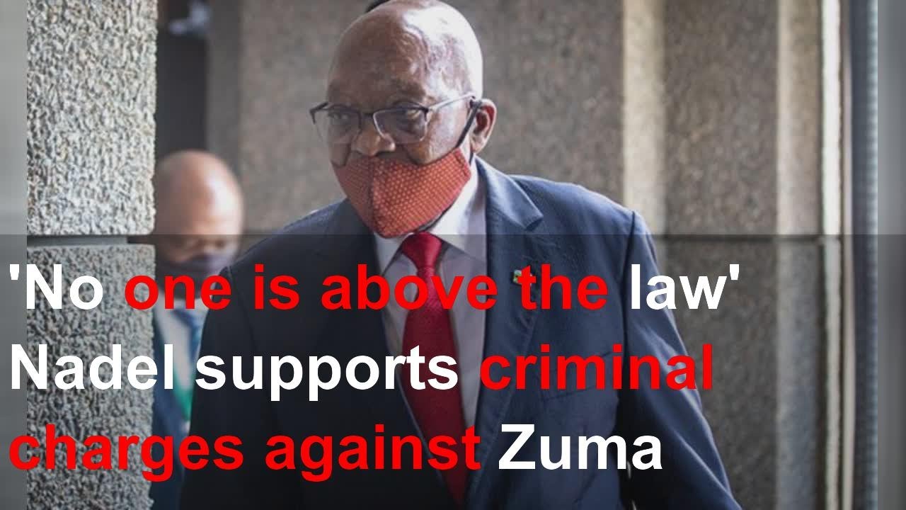 'No one is above the law' Nadel supports criminal charges against Zuma