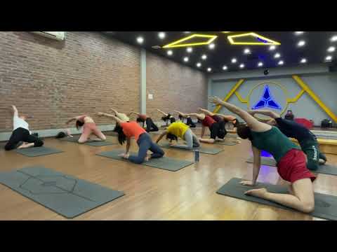 Video Tập Yoga free/ Praveen/ 21-6-2022/ Quỳnh Fitness - YouTube