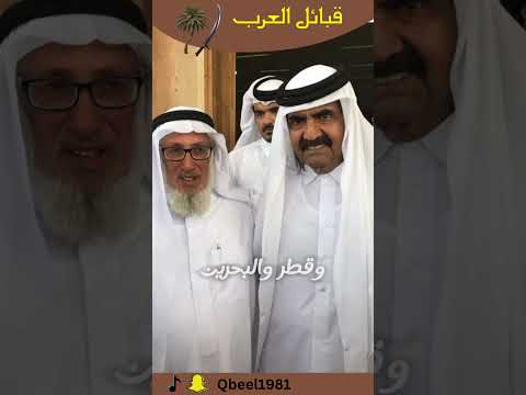 معلومات عن قبيلة بنو تميم