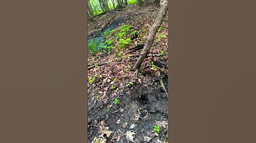 Polaris Ranger stuck