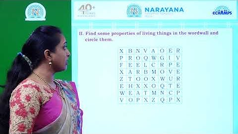 15TH JUL PAN INDIA CLASS I EVS ASSIGNMENT KEY