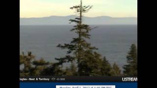 Upload Your Video - Youtube96