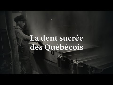 Vidéo: Où se trouve la dent sucrée ?