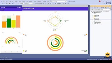 Visualize your data with Charts in .NET MAUI || Implement Graphs in .NET MAUI #maui #charts #graphs