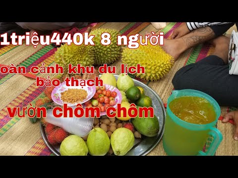 Video Reviews khu du lịch sinh thái bảo thạch Bến tre - youtube