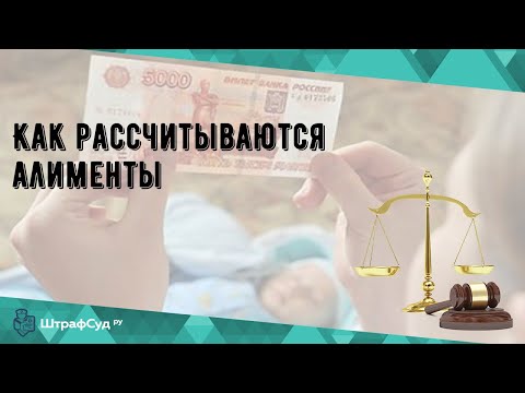 Как рассчитываются алименты