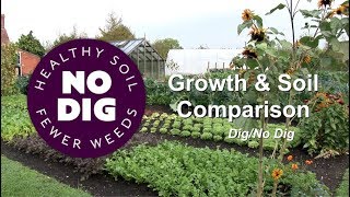 No dig and dig beds, comparing water infiltration and weed growth