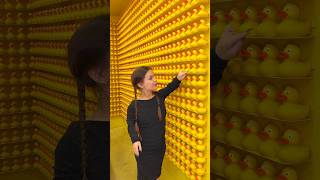 how many ducks #tiktok Profile