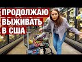 ВСЮ ЗАРПЛАТУ НА ПРОДУКТЫ В АМЕРИКЕ.