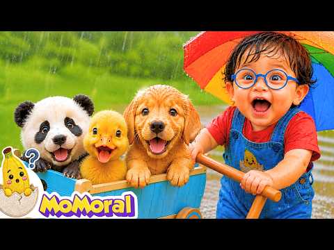 Rain Rain Go Away | Kids Songs | Momoral - Nursery Rhymes