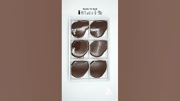 Discover The Chocolate Production Process With Selmi Chocolate Beantobar Artisan Training Selmi 