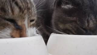 DSCN2789