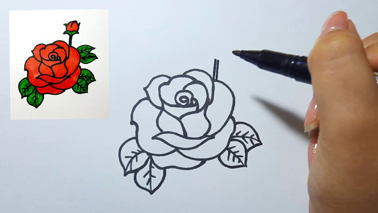 Hướng dẫn VẼ HOA HỒNG I How to draw a Rose II Ong Mật Mỹ Thuật 96  YouTube