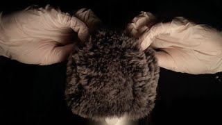 asmr scalp check (gloves, combing, scratching)💤💤