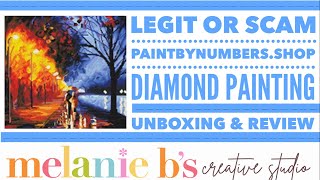 LEGIT OR SCAM? Paint by Numbers Shop Diamond Painting Kits DPK | Unboxing, Review & First Look | MBG