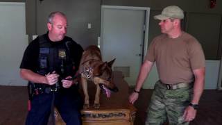 Meet Master Patrolman Derek Loftis - Greenville, SC Police Department