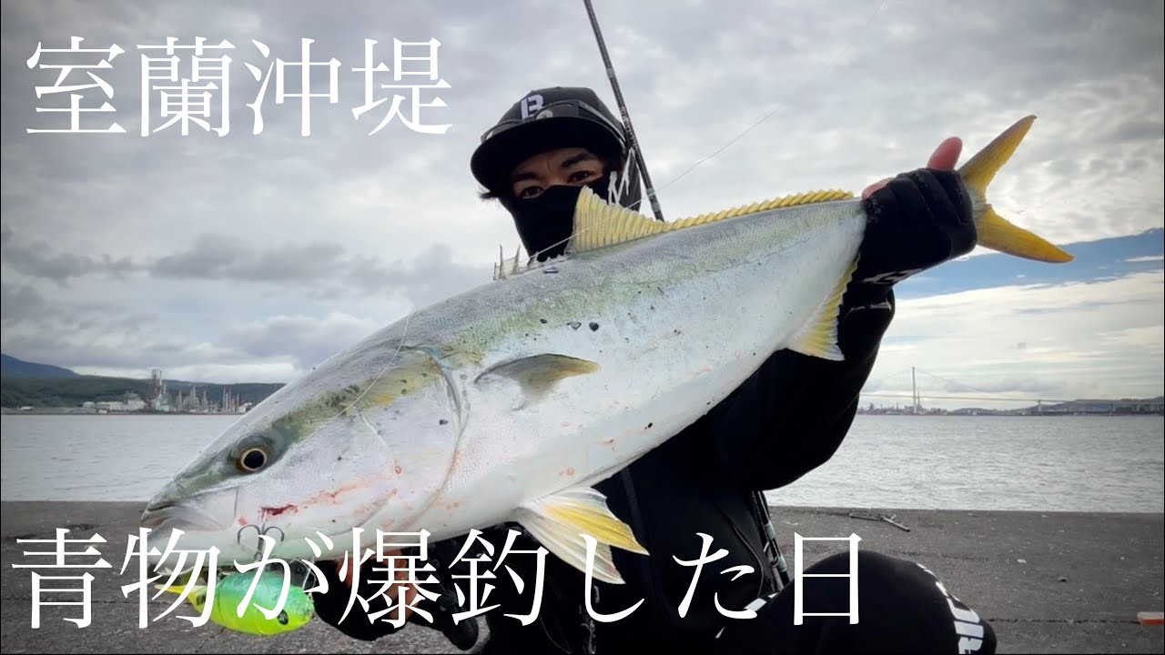 青物が爆釣した日【室蘭沖堤】