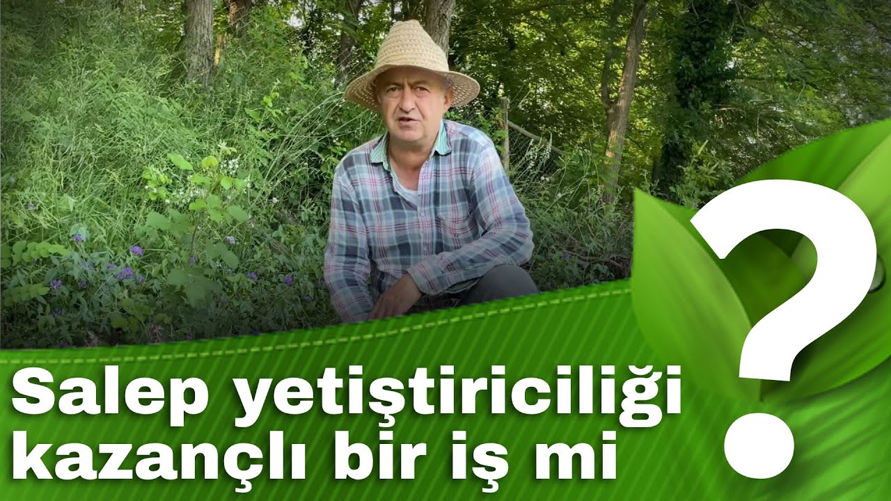 ÜRETİCİSİNDEN SALEP YETİŞTİRİCİLİĞİ
