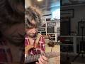 Chasing some early strat/champ era Eric Clapton sounds this morning!