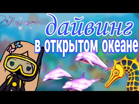 Видео: дайвинг в открытом океане 🐬/ тока бока/дайвинг/аврора кари