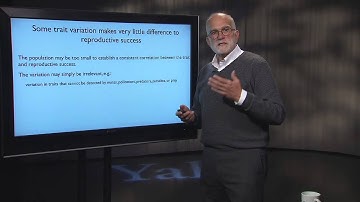 1.2 Random Evolution