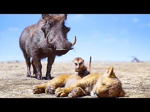 the-lion-king-"timon-&-pumbaa-rescue-simba"-clip-(2019)