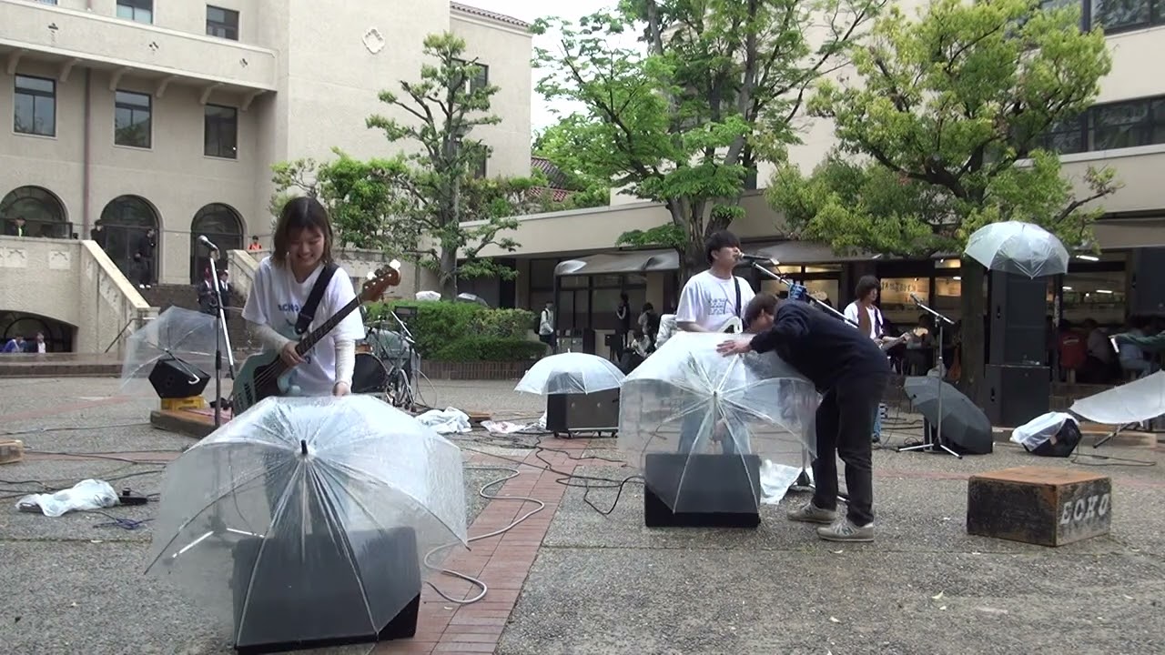 プッシュプルポット　コピーバンド