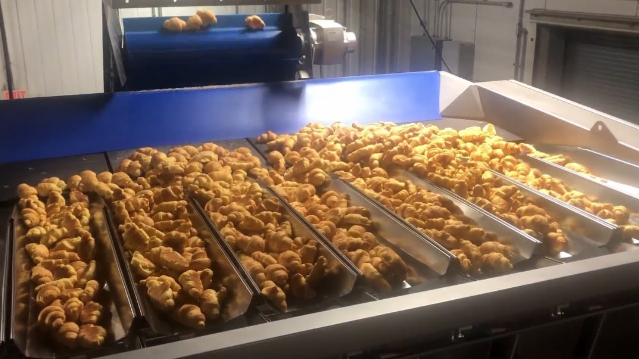 Fox Solutions | FSWB3 | Newtec 4009XB2 | Bread