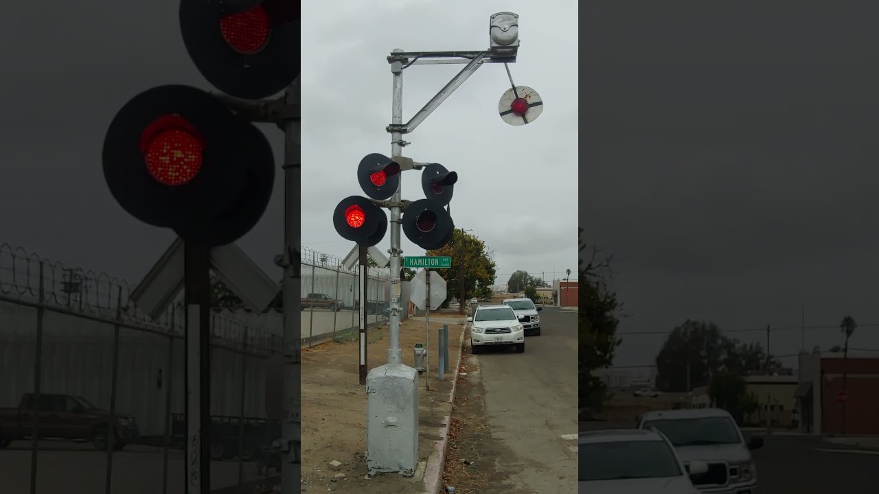 Wig-Wag: It's Alive!!! 