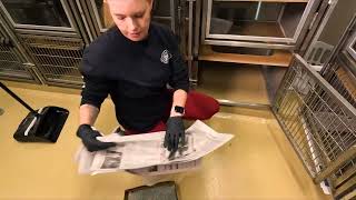 Pasadena Animal Shelter Volunteers- Cat Enclosure Cleaning