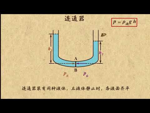 19连通器的定义及其特点  压强  中学物理