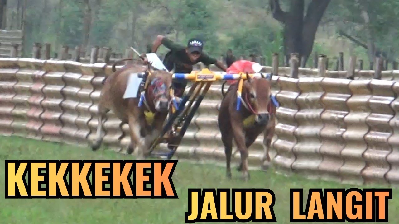 PART  3  ‼️  DI GUYUR HUJAN TAPI MASIH PANASSS  🔥🔥