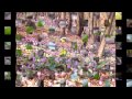 【春の妖精 カタクリの花】♪♪♪