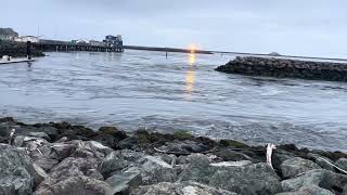 Crescent City Harbor, 2025 Kamchatka Tsunami Daylight – 6:08 AM PDT 7/30